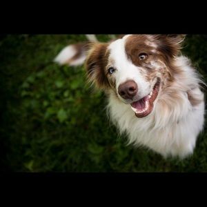 Meet your Posher, Anne